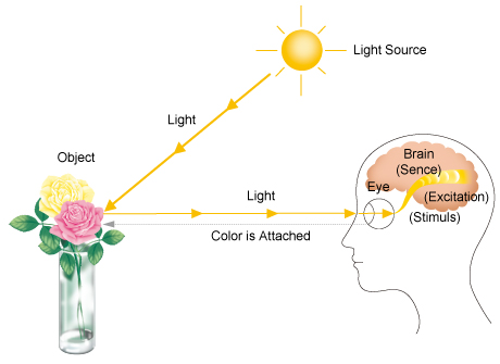 [Fig.6 : Process of Recognizing Colors]