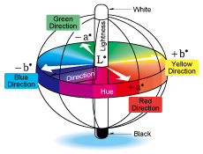 [Fig.9 : L*a*b* Color Specification System Three-Dimensional Sphere]