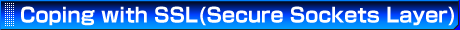 Index of Coping with SSL(Secure Sockets Layer)